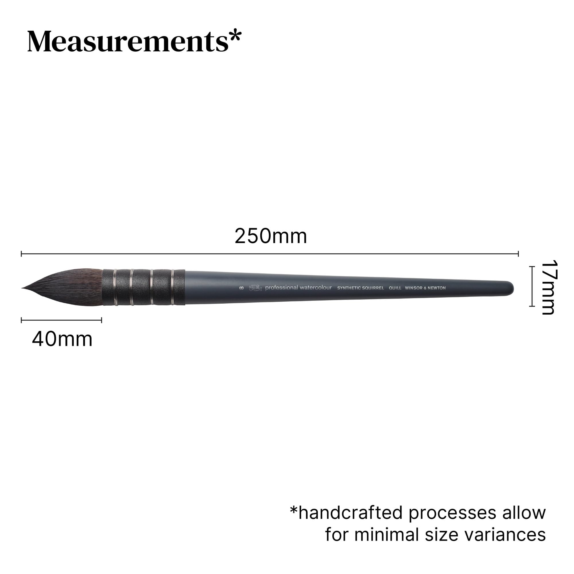 Winsor & Newton 5011508 Profesjonalny Pędzel Akwarelowy, Pędzel Malarski do Farb Akwarelowych z Włóknami Syntetycznymi, Trwały i Stabilny Wymiarowo, Krótki Uchwyt, Wiewiórka Nr 8
