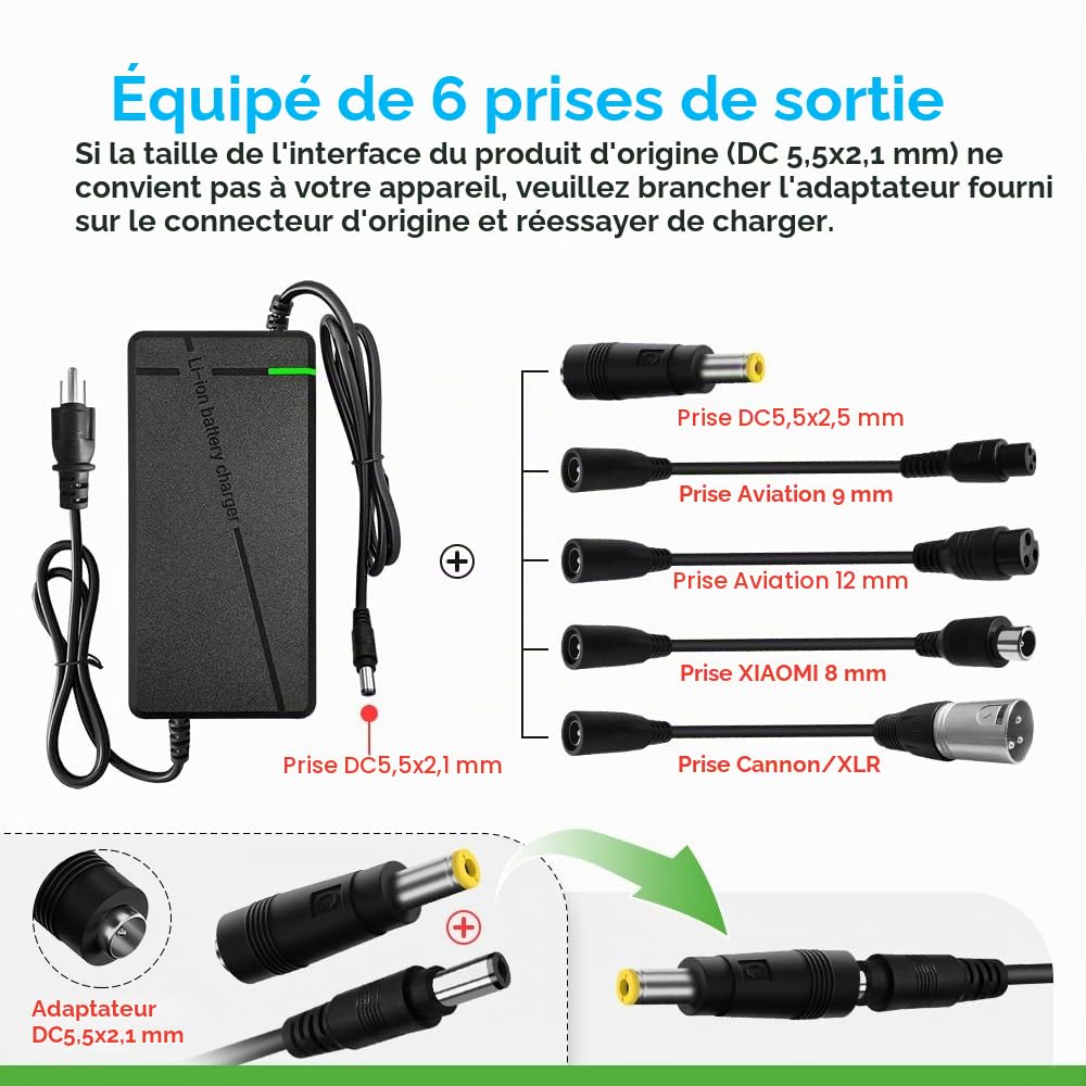 Chargeur 67,2 V 5 A avec prise 6 en 1 pour batterie au lithium 60 V telles que les batteries marines de voiture, camion, tondeuse à gazon, bateau (67,2 V 5 A (prise 6 en 1))