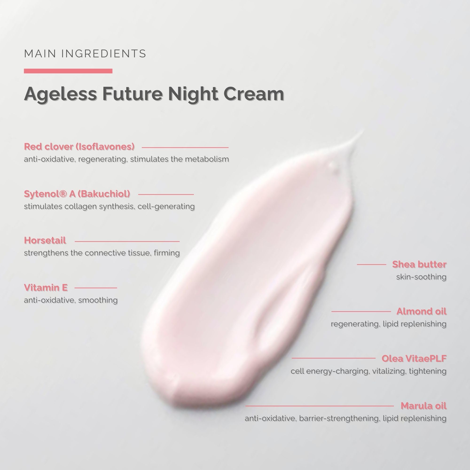 Ageless Future Night Cream (1.7 fl oz), Skin Improving Anti-Aging Night Care, Regenerating Night Cream, with Vitamin A - Image 3