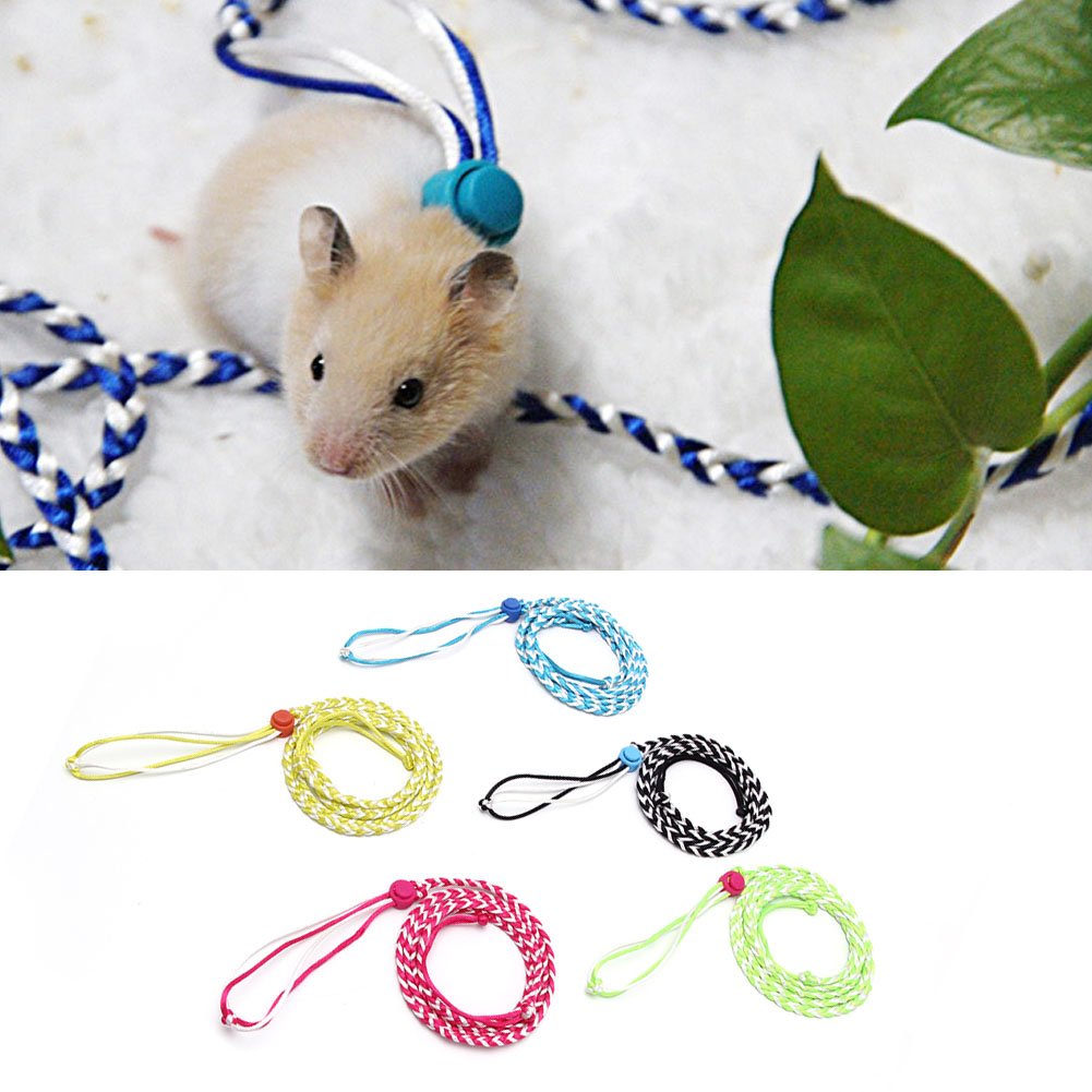 Harnais réglable pour hamster, laisse pour animal domestique, souris, bébé marchant coloré pour petits animaux de compagnie