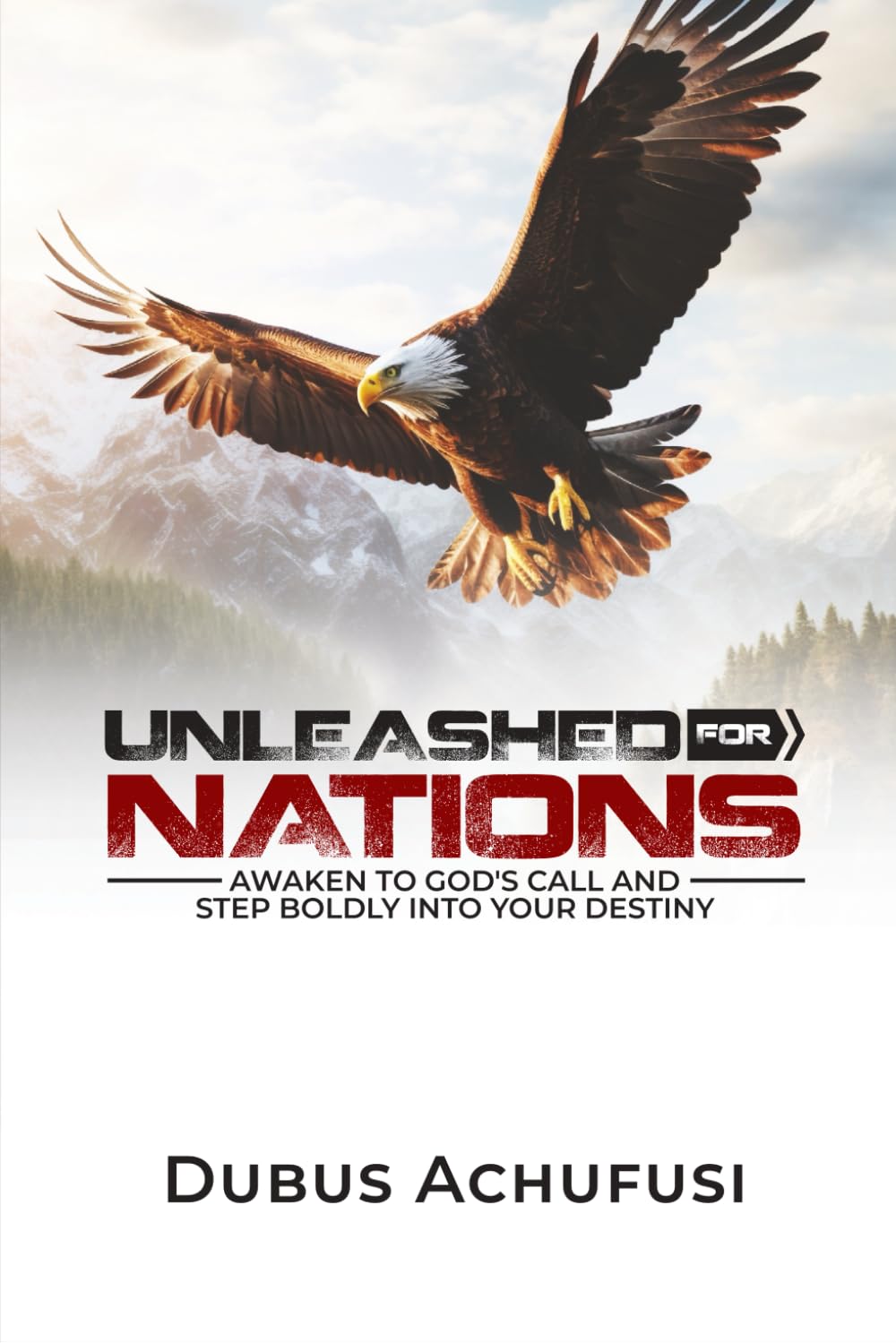 Unleashed For Nations: Awaken to God's call and step boldly into your destiny