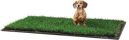 DoggieLawn XL - Almohadillas desechables de hierba real para orina de cachorros, almohadilla para orina de pasto para perro, almohadilla para orinar