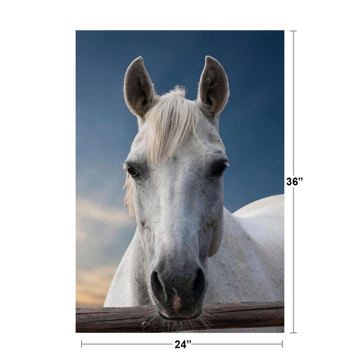 ホワイトホース　額縁white horseポスターブランデー ポスター Amazon.com: Portrait of a White Horse Photo Photograph Poster
