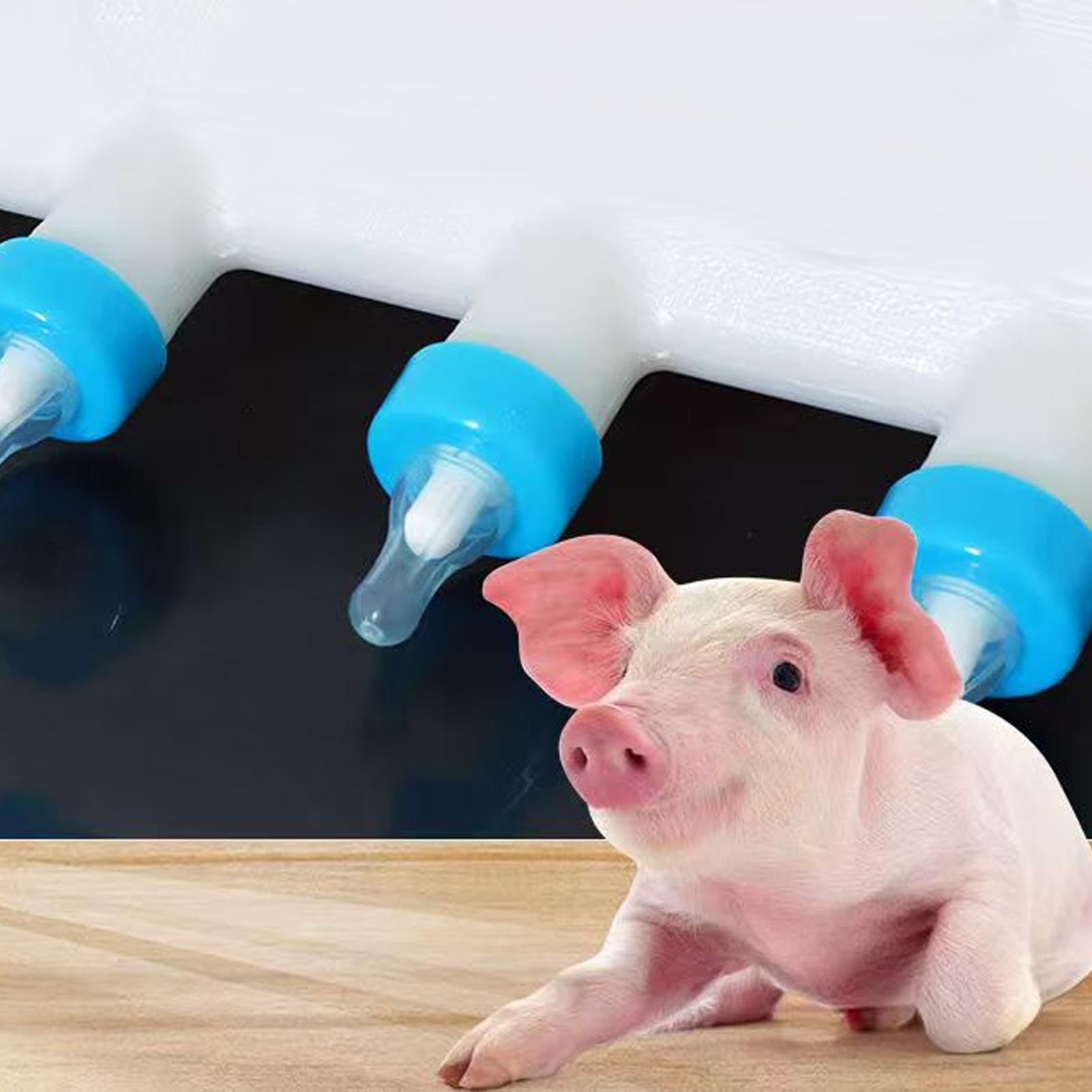 9 Pacifiers Milk Feeder, Premium ABS Lamb Drink Nipples Piglets Feeder, Enhanced Comfort Easy Cleaning Livestock Teat Milk Feeding Tool Raising Equipment