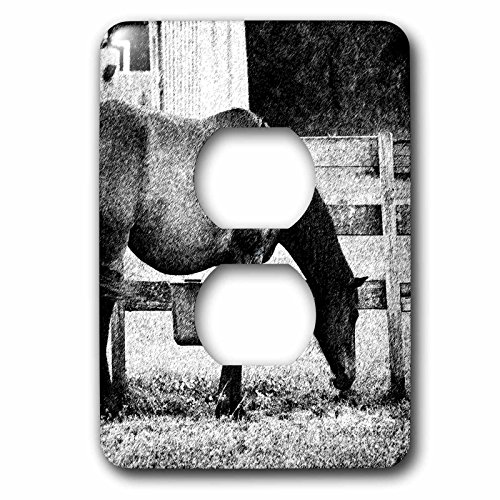 Cheval en Clôture plaque de double prise pour décoration murale rustique - 2