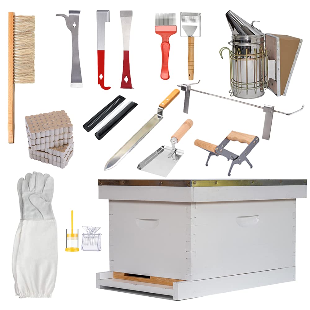 Buy POLLIBEE Beehive Starter Kit 8Frame Bee Hives and Supplies Starter