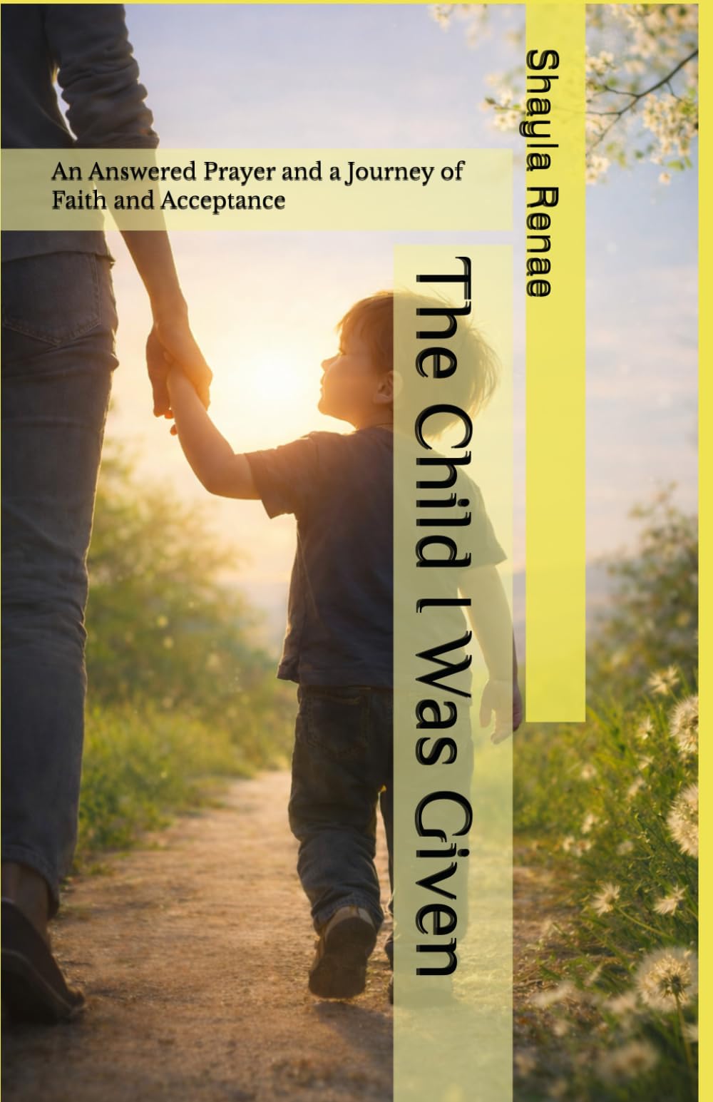 The Child I Was Given: An Answered Prayer and a Journey of Faith and Acceptance