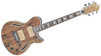 Amazon | Michael Kelly guitars (マイケルケリーギターズ