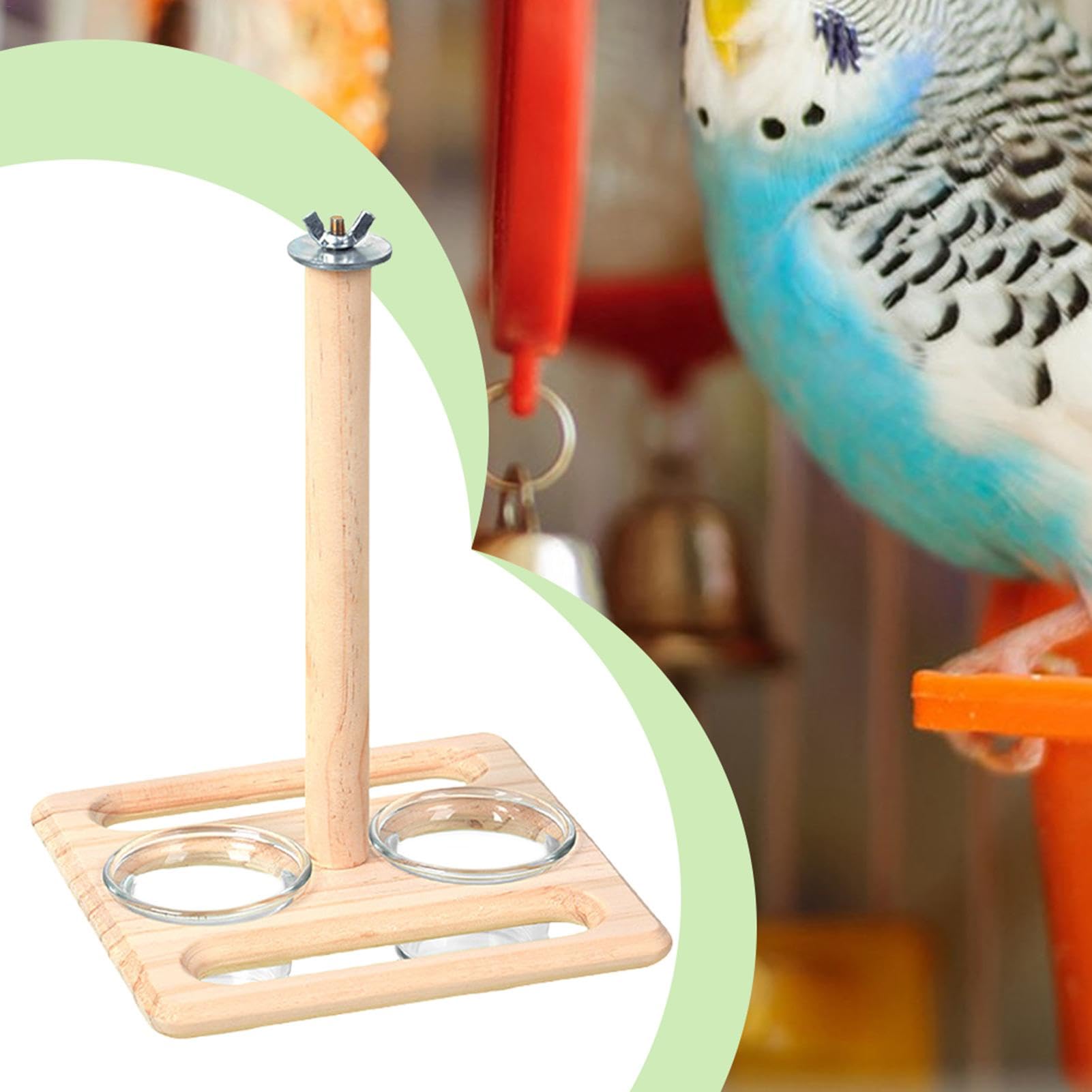 Amazon | オウムの止まり木、中型鳥用のオウムの止まり木 | 鳥かごの