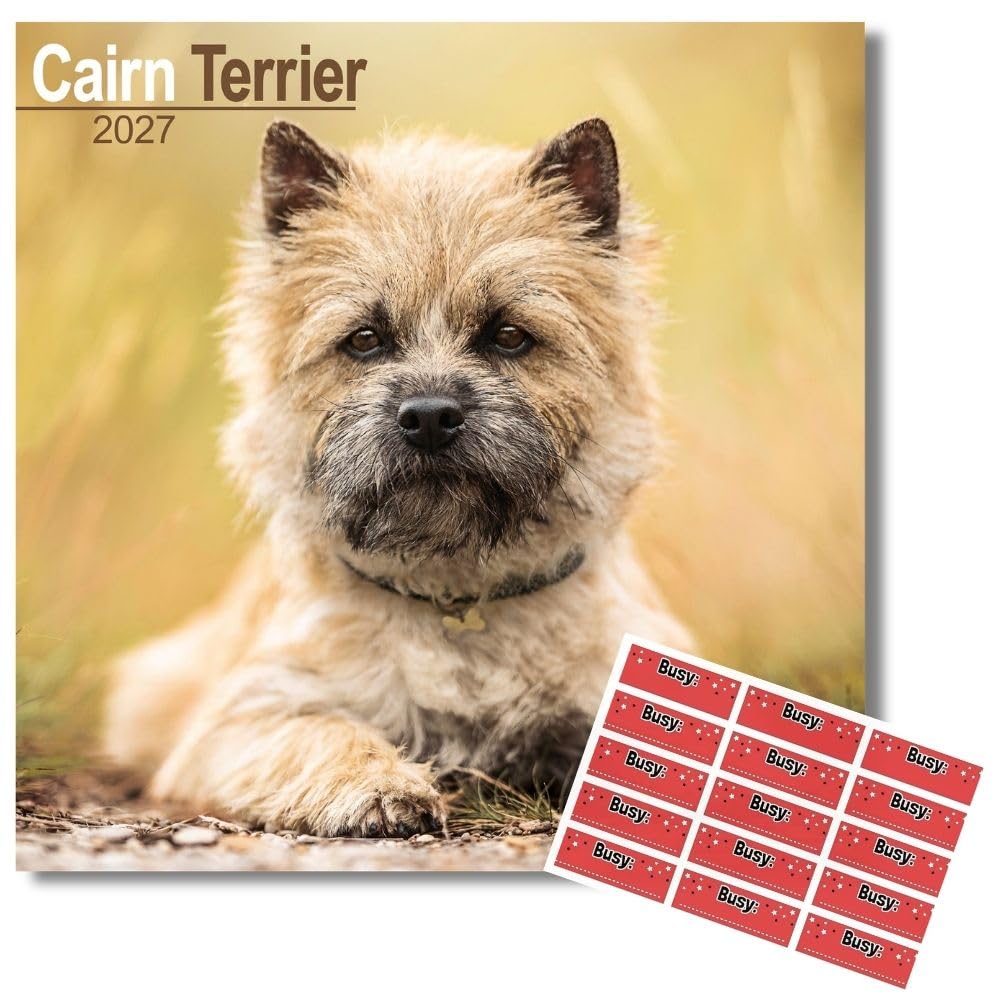 Avonside Cairn Terrier 2027 Calendar with Organisational Stickers, 16 Month Square Wall Calendar (Sept 2026 - Dec 2027), UK Planner For Dog Lovers, Home or Office, 11.6 x 11.6 in