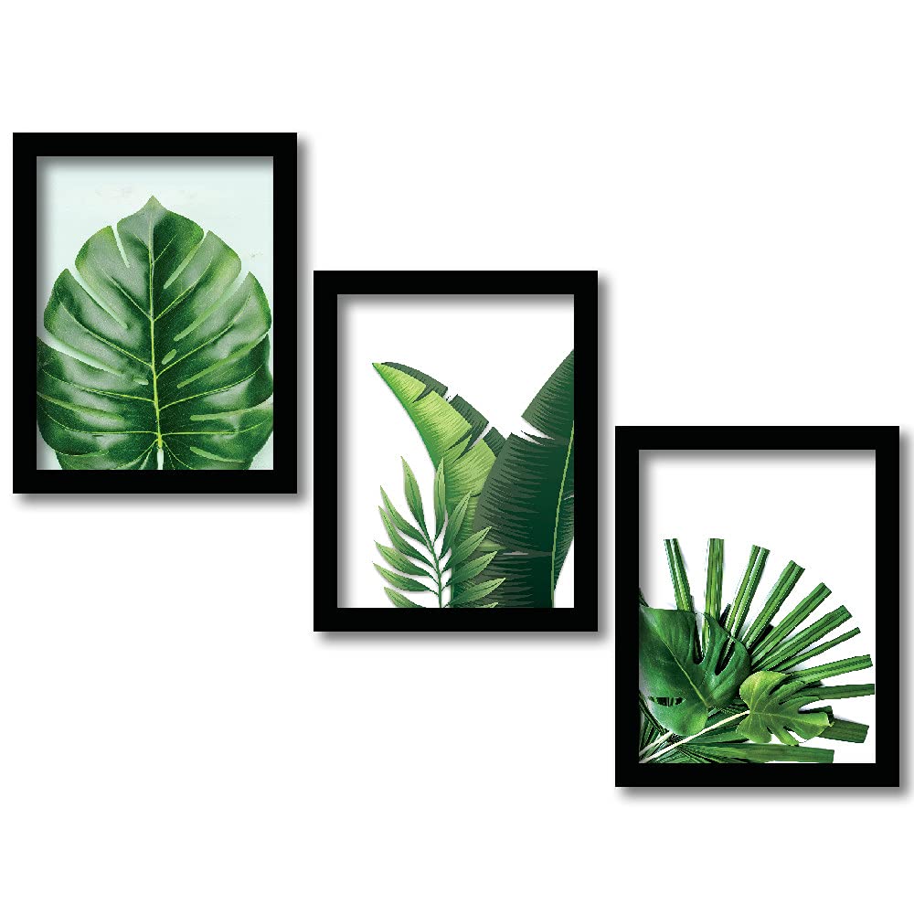 Bangerz Nature Theme Wall Decor Paintings / Posters for Living Room, Bedroom, Hall and Office Framed Painting For Wall Decoration Poster with Plexi Glass Frame Wall Hangings ( 11 inch x 14 inch ) Set of 3 Painting