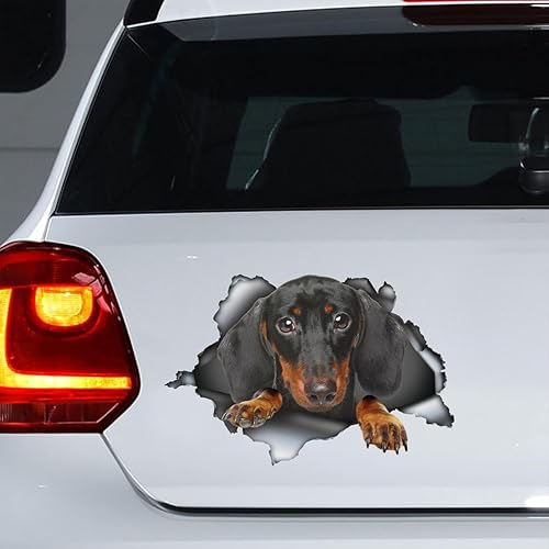 Calcomanía para automóvil de perro salchicha, perro salchicha, mascota salchicha, calcomanía para nevera, letrero de Bull Terrier, calcomanía de