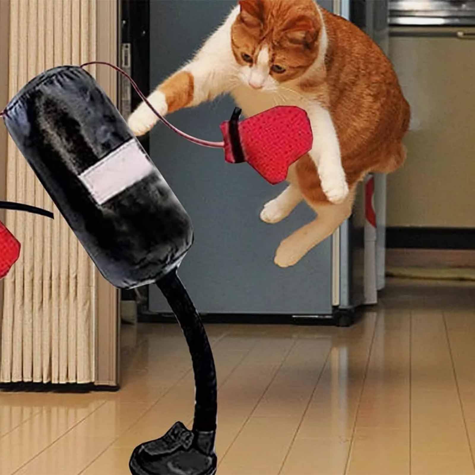 Amazon.co.jp: 猫のサンドバッグのおもちゃ,猫 遊び道具,猫ボクシング