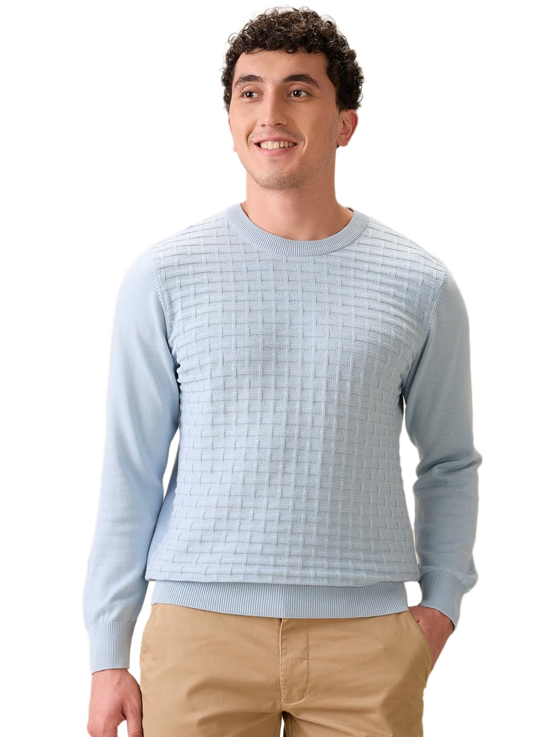 colorplus Men Full Sleeve Regular Fit Jacquard Pattern Pure Cotton Round Neck Round Neck Casual Winter Wear-picture-51
