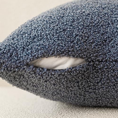 Image of Foindtower Pack of 2, Curly Faux Fur Decorative Throw Pillow Covers Soft Fuzzy Plush Cushion Case with Zipper Cozy Pillowcase for Home Living Room Couch Bed Sofa 24 x 24 Inch, Blue