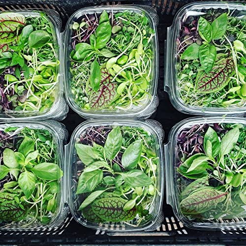 Active Grow T5 High Output 2Ft 4 Lamp Led Grow Light - 4 X 12W T5 Ho 4Ft Led Tubes - 120V - For Indoor Plants, Herbs, Microgreens, Veg & Bloom - Sun White Full Spectrum High Cri 95 #TOP5