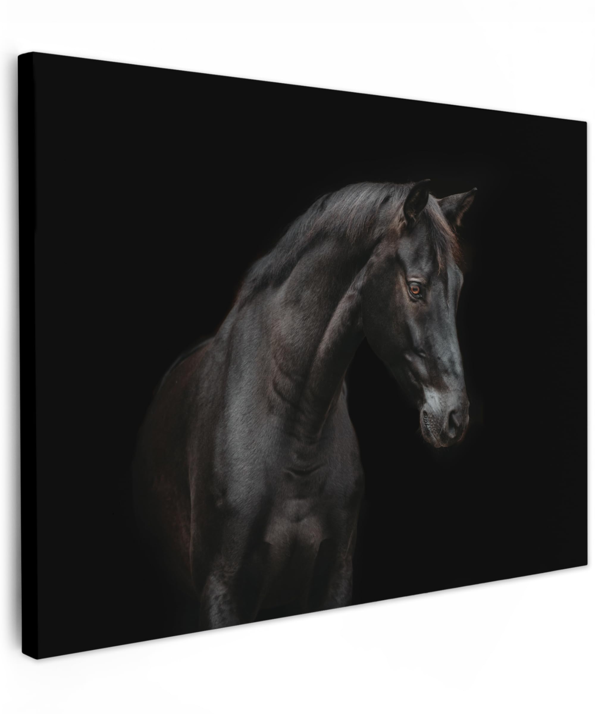 MuchoWow© Canvas Wall Art 28"x20" / 70x50 cm Decor Paintings Print framed on Canvas Pictures for Hallway Horse - Animals - Black - Portrait — image 1
