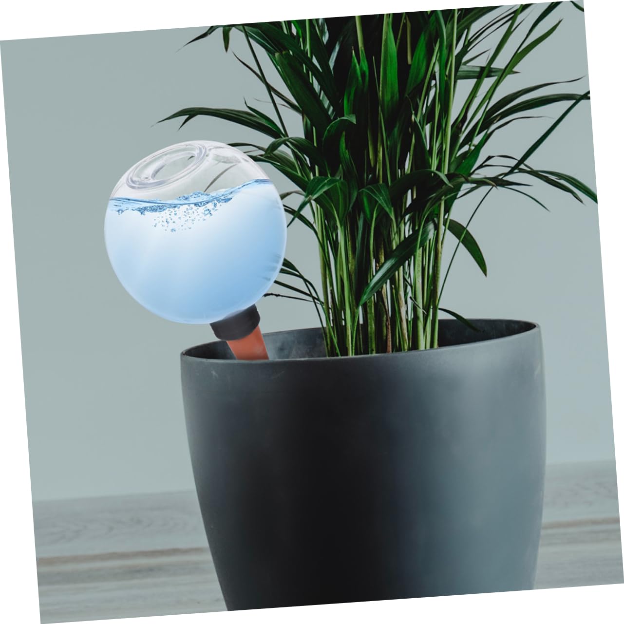 INOOMP 8piezas Dispositivos Automáticos para Riego De Plantas De para Plantas De Interior y Jardín para Cuidado De Suculentas y Macetas