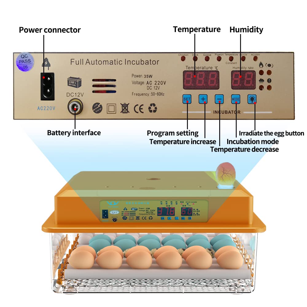 Brooder Chicken Fully Automatic Farm Incubator Eggs Bird Quail