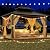 GarveeLife 10x12ft Gazebo, Hardtop Double Roof Canopy with Netting and Curtains, Outdoor Gazebo Galvanized Iron Aluminum Frame Garden Tent for Patio, Backyard, Deck, Lawns (Brown)