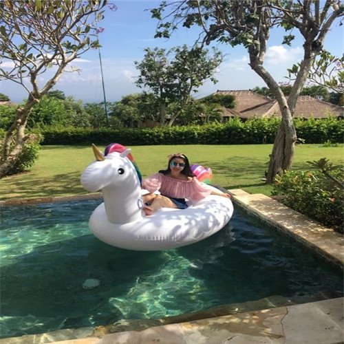 Flottant Gonflable de l'eau Petit ou Flotteur Gonflable de Licorne de Ride-ons de Flotteur de lit de Licorne (Licorne)