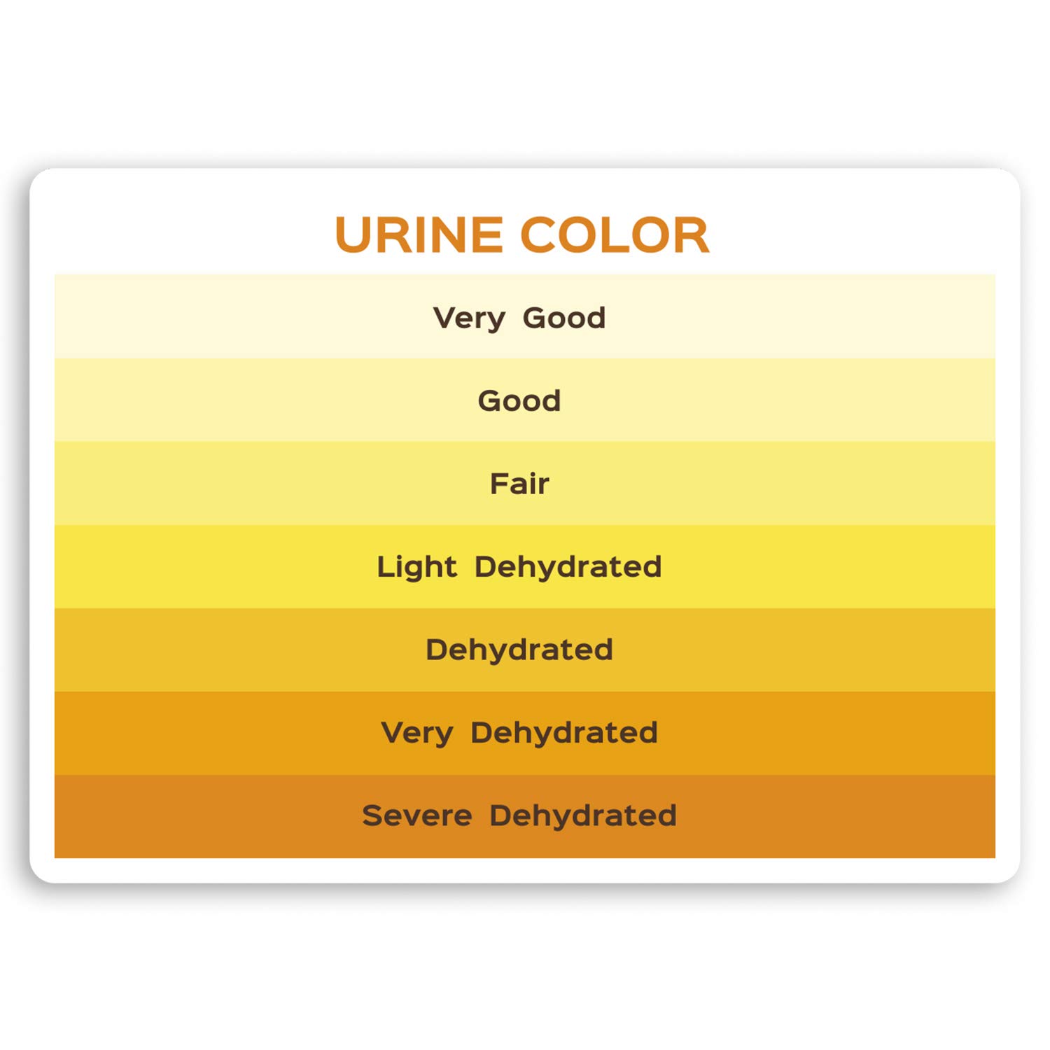 Destination Vinyl Ltd Multi 2 X 10Cm Urine Color Vinyl Stickers - Medical Nurse Doctor Health Sticker #30065 (10Cm Wide)