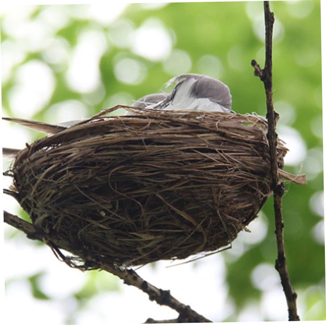 Pájaros realistas con plumas artificiales con huevo de nido para el hogar, jardín, ornamento de jardín, manualidades al aire libre, pájaro realista para ventana, jardín, balcón, patio, césped, patio