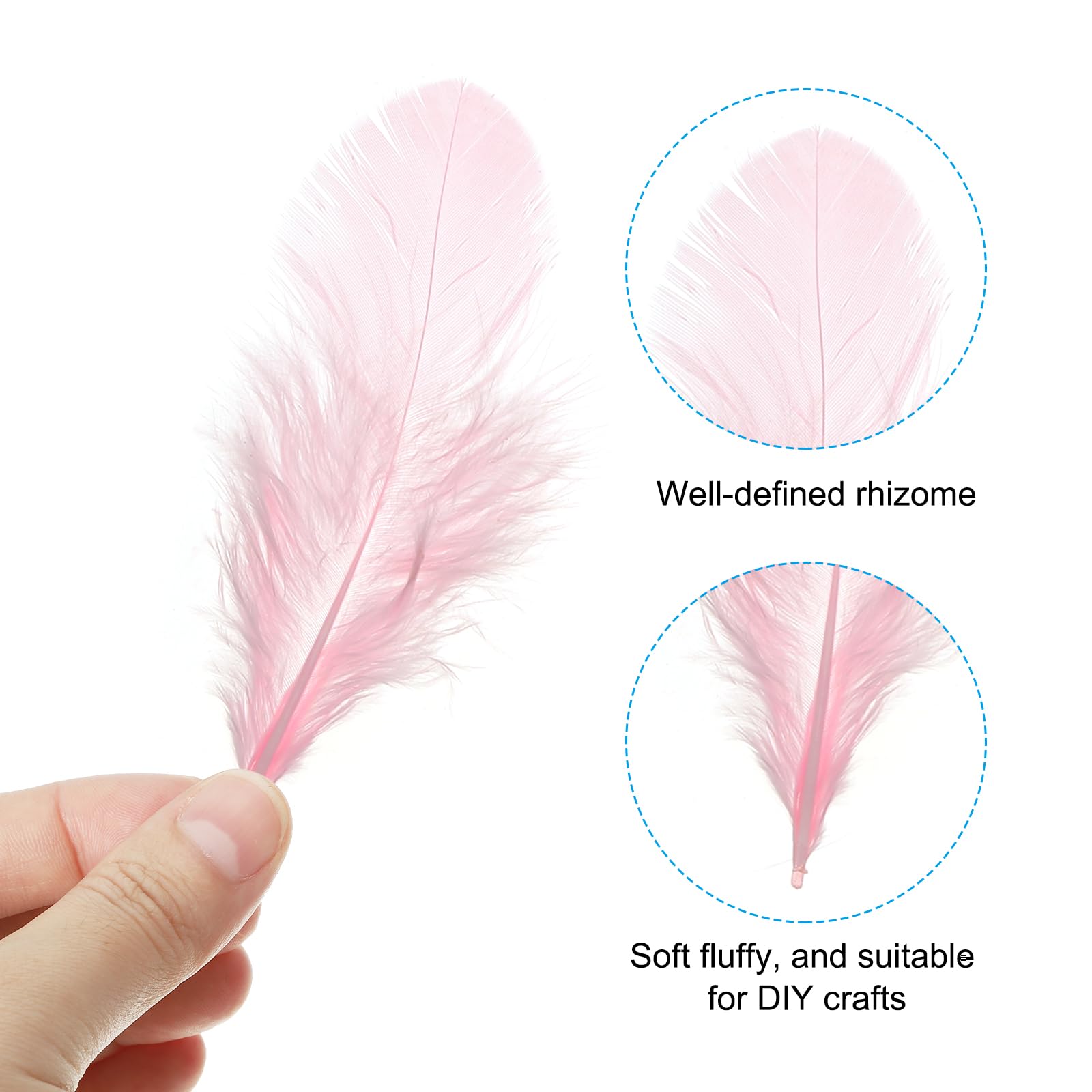 PATIKIL 1.5-3 Inch Saddle Hackle Rooster Feather - Image 3