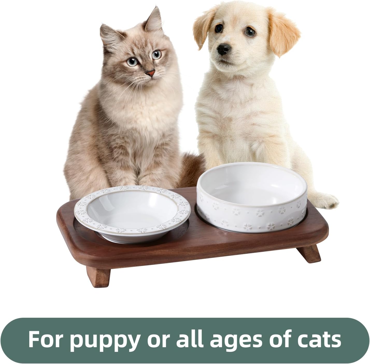 Havniva Cat Food Bowl, 6.1" Raised Cat Bowls with Acacia Wood Stand, Elevated Cat Dishes Ceramic Pet Food & Water Bowl Set, Extra Wide Whisker Friendly Elegant Pet Dish for Kitten, Cats, Puppy