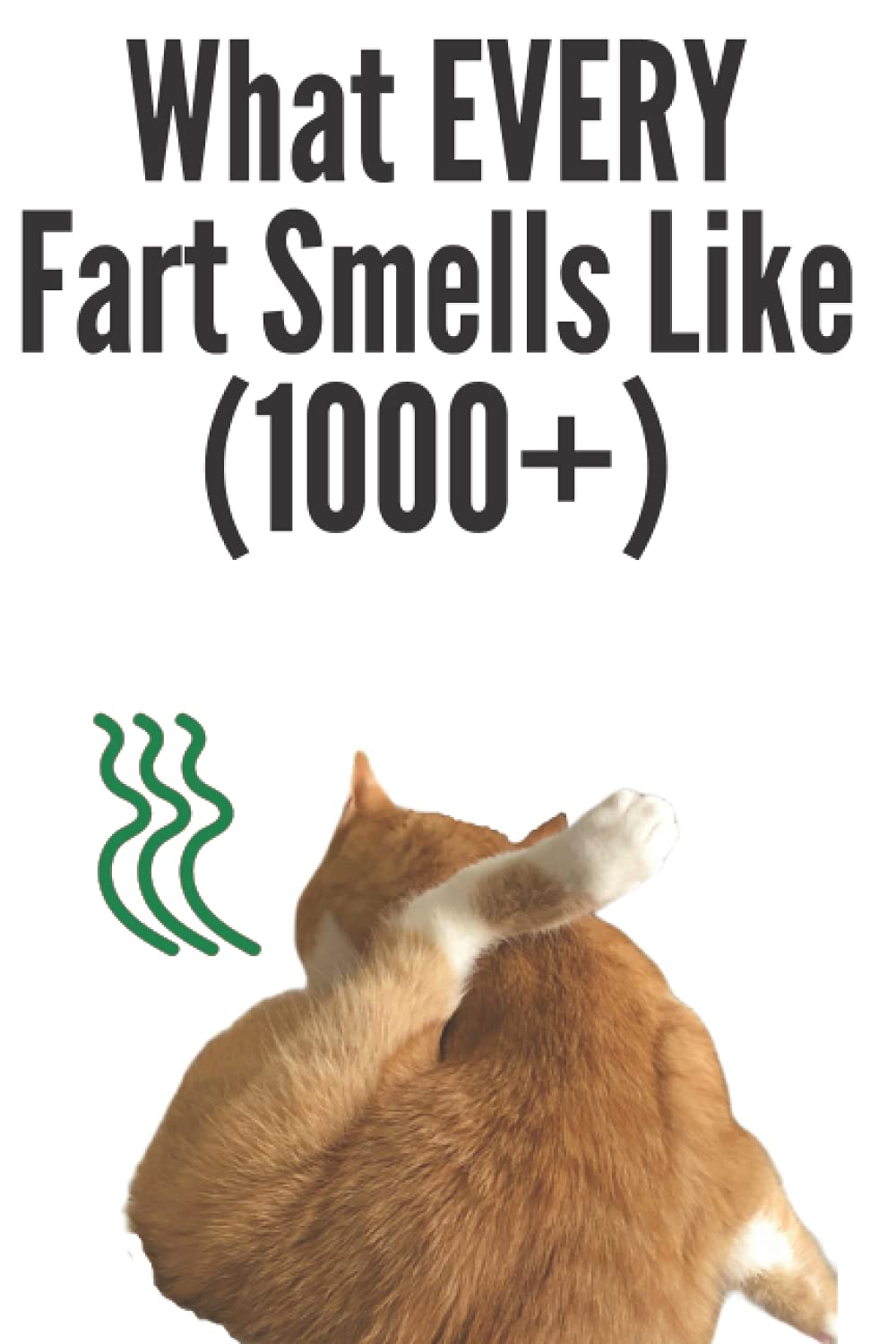 What EVERY fart smells like (1000+)! Prank funny cover notebook empty joke book 6x9 notes gag gift notes white color (Prank Notebooks - Gag Gift Surprise Joke Books for Shock Value)