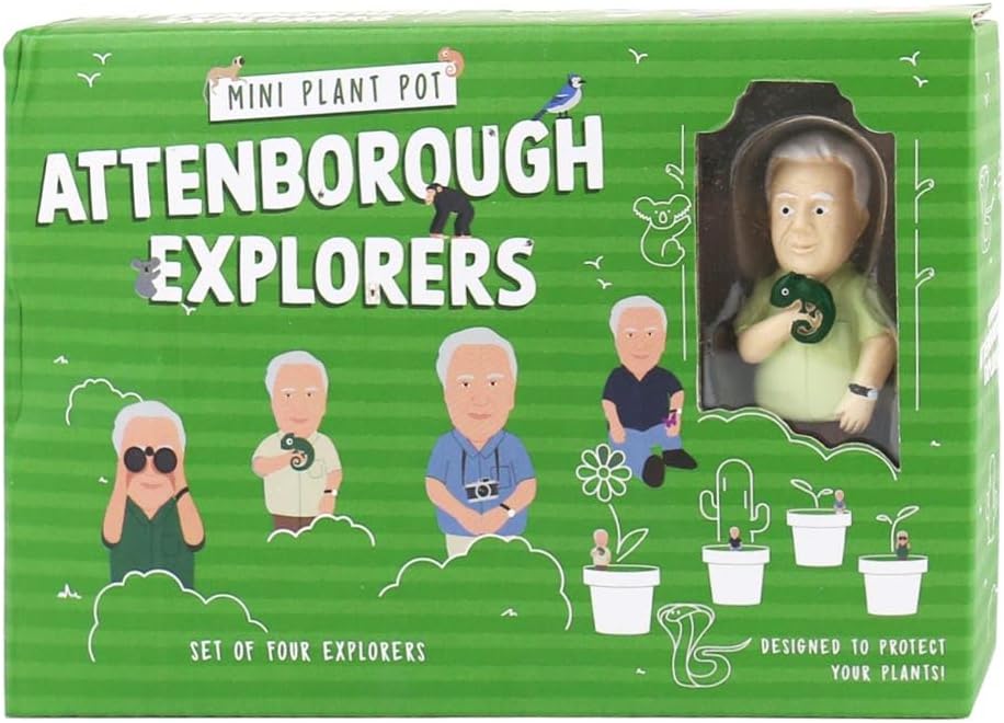 Gift Republic - Attenborough Explorers Plant Markers - These Attenborough Explorers Will Look After Your Plants, 9.5x14.5x3.5 cm, Green