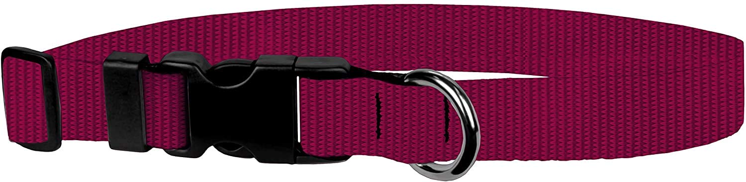 Dog Collar - Colored Adjustable Pet Collars, 3/4 Inch Wide, Medium, Raspberry
