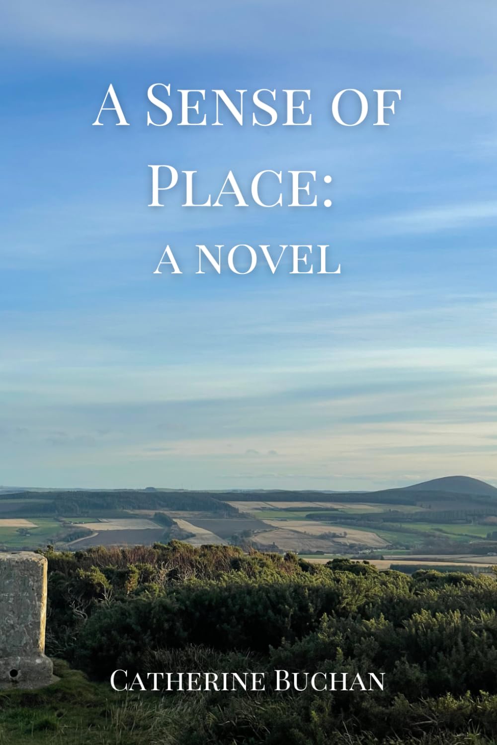 A Sense of Place: a novel