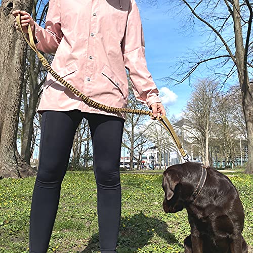 Leisegrün Hundeleine elastisch mit Ruckdämpfer 130–200 cm – Anti Zug Bungee Leine aus Nylon mit Kurzführer, für mittelgroße und große Hunde, Olivgrün