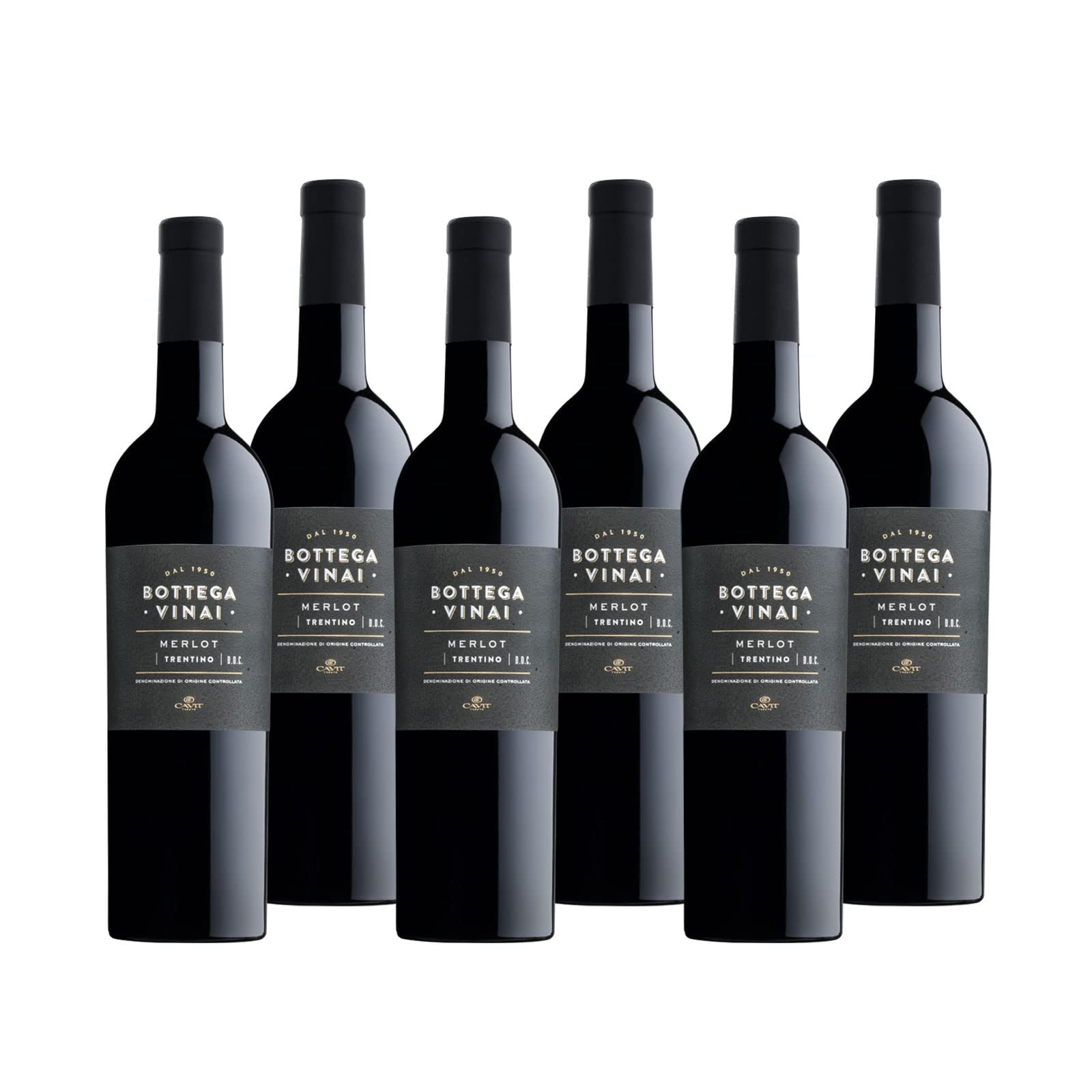 Merlot Trentino DOC "Bottega Vinai" Rotwein Trentin trocken (6 x 0.75l)