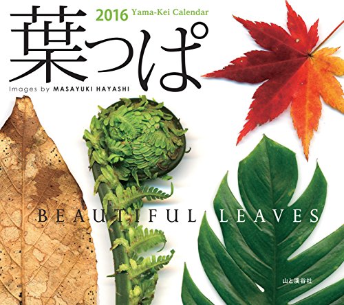 オライリー 無料電子書籍 カレンダー2016 葉っぱ beautiful leaves (ヤマケイカレンダー2016) バイ