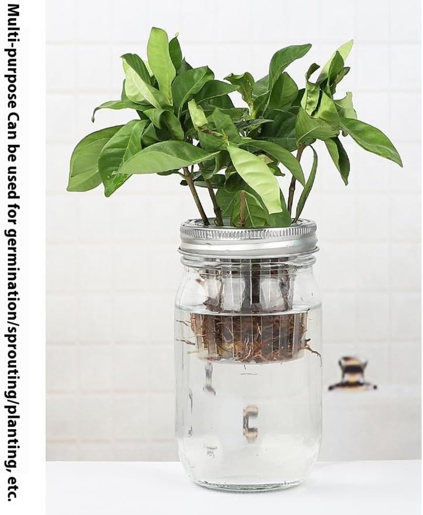 2パックツールキット、1000ml発芽ガラスジャーブラケット、植物ツールキット、スチールカバートレイ、ボトル、学校に最適