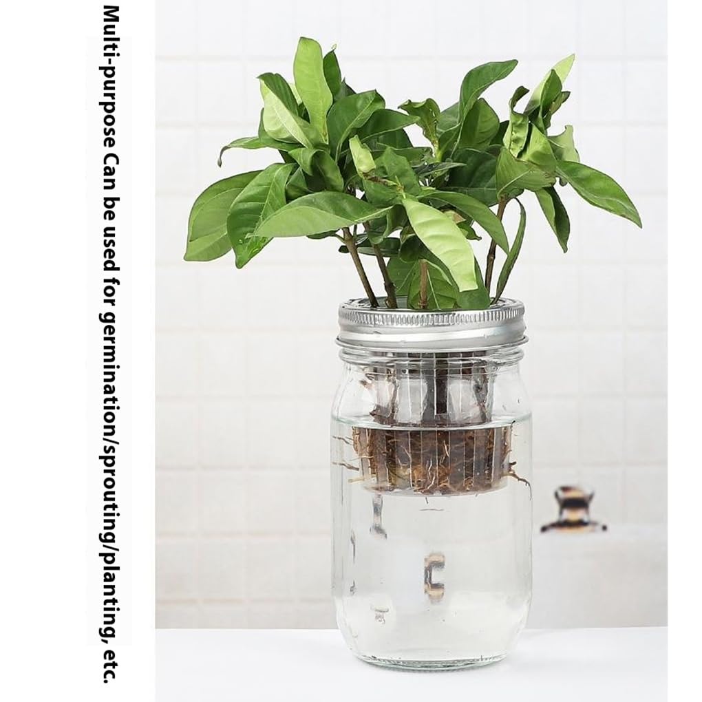 2 Supports pour bocaux en Verre de 1 000 ML, Outil de Germination, Filtre en Acier Inoxydable Blanc pour la Croissance des Plantes, accès pour aux