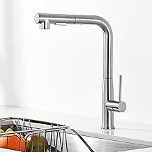 Auralum Rubinetto Lavello Cucina, Rubinetto Cucina Estraibile, Miscelatore ad Alta Pressione con Doccia e Due Tipi di Getto d'Acqua, Miscelatore Cucina Girevole a 360°, Acciaio Inossidabile