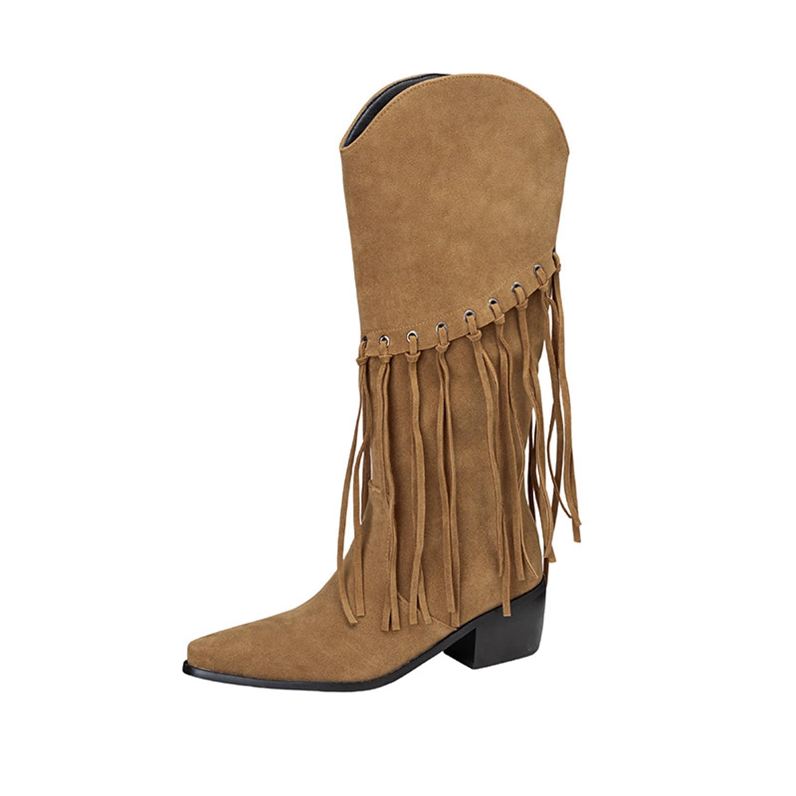 Womens Fringe Boots Riding Cowboy Mid Calf Pull On Boots Pointed Toe Chunky Heels Winter Cowgirl Western Tassel