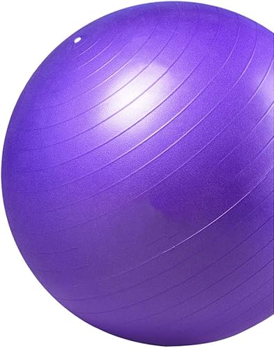 Pelota de yoga para mujeres embarazadas que dan a luz, entrenamiento sensorial de niños, pérdida de peso, equilibrio, 556529.5 in (oficina, hogar y