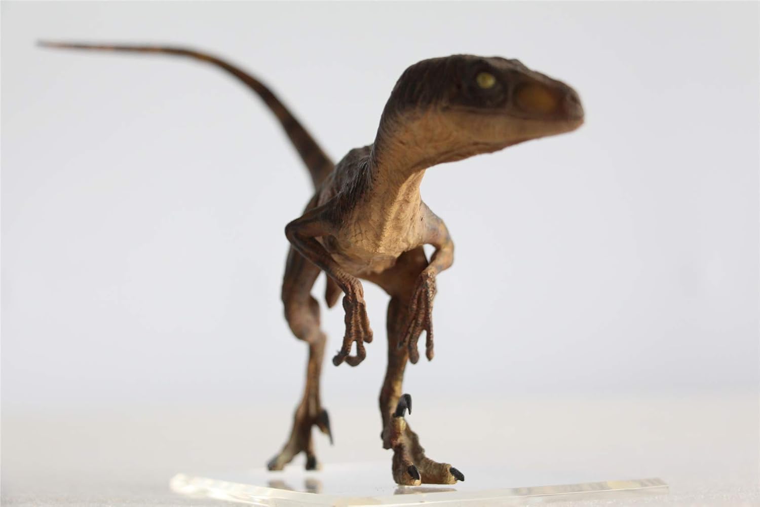 Crеаtіvе Prоduсt Dino Dream 1/15 Velociraptor Raptor in The Kitchen Statue Dromaeosauridae Dinosaur Figure Cretaceous Realistic Animal Model Collector Toys Decor Gift for Adult Frее Shірріng оƒƒеr Dino Dream 1/15 Velociraptor Raptor in The Kitchen Statue Dromaeosauridae Dinosaur Figure Cretaceous Realistic Animal Model Collector Toys Decor Gift for Adult