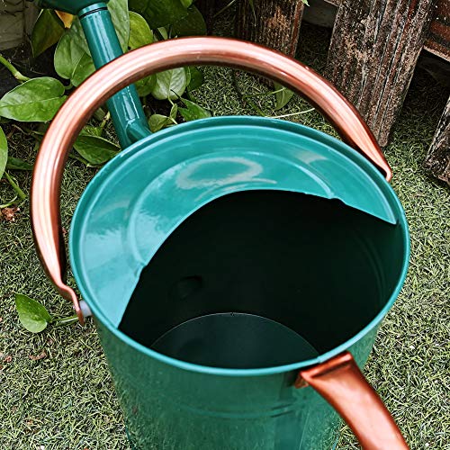 yourjoy Steel Watering Can Sliver Galvanized Steel Watering Can with Copper Accents,Removable Rosette-Diffuser,One-Gallon Green - Thumbnail 7