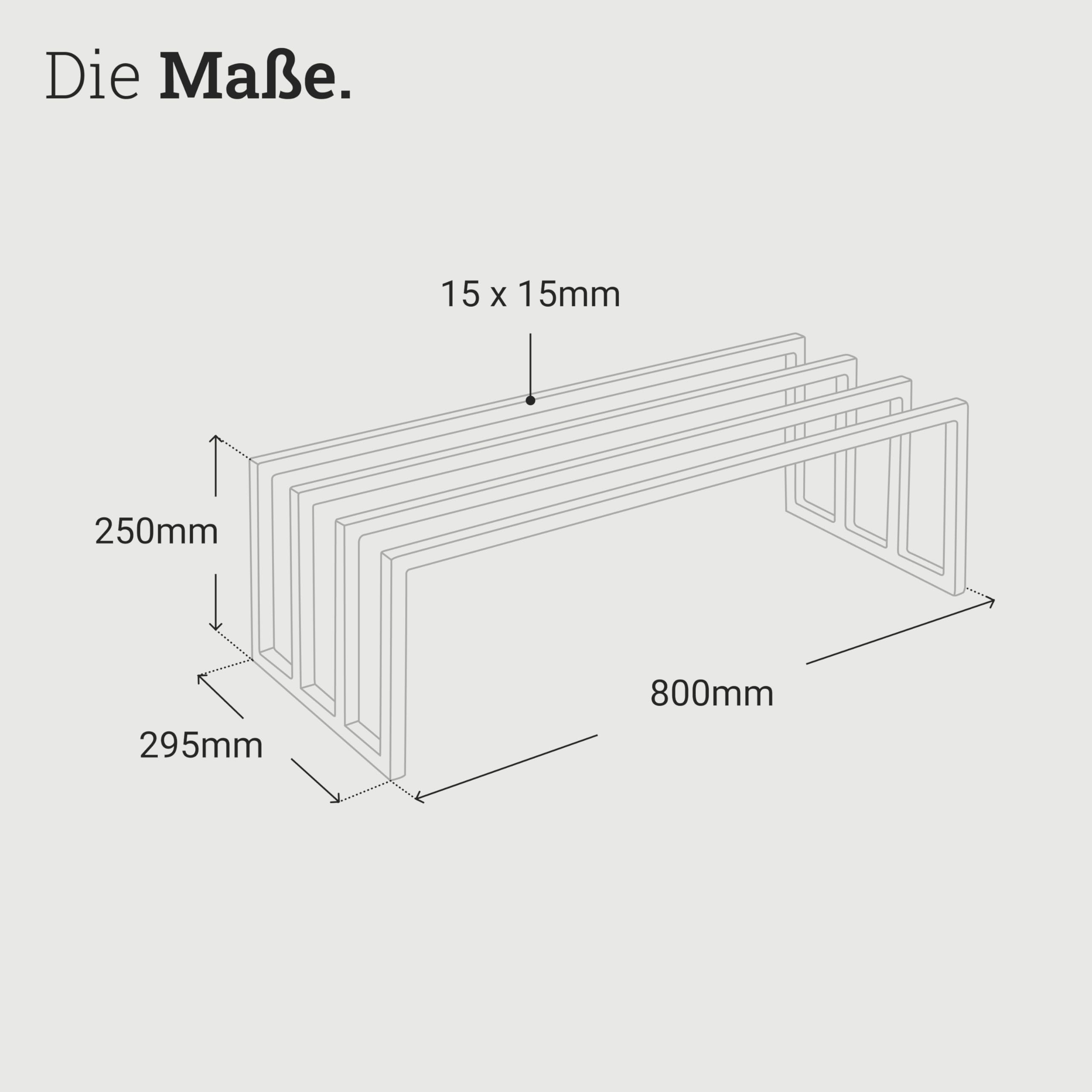 Natural Goods Berlin 1x Schuhablage RECHTECK - Offenes Schuhregal Metall Schwarz - 80 x 25 x 30 cm - Schwarzes Schuhregal Outdoor Wetterfest - Schuhaufbewahrung Platzsparend - Shoe Rack, Shoe Storage