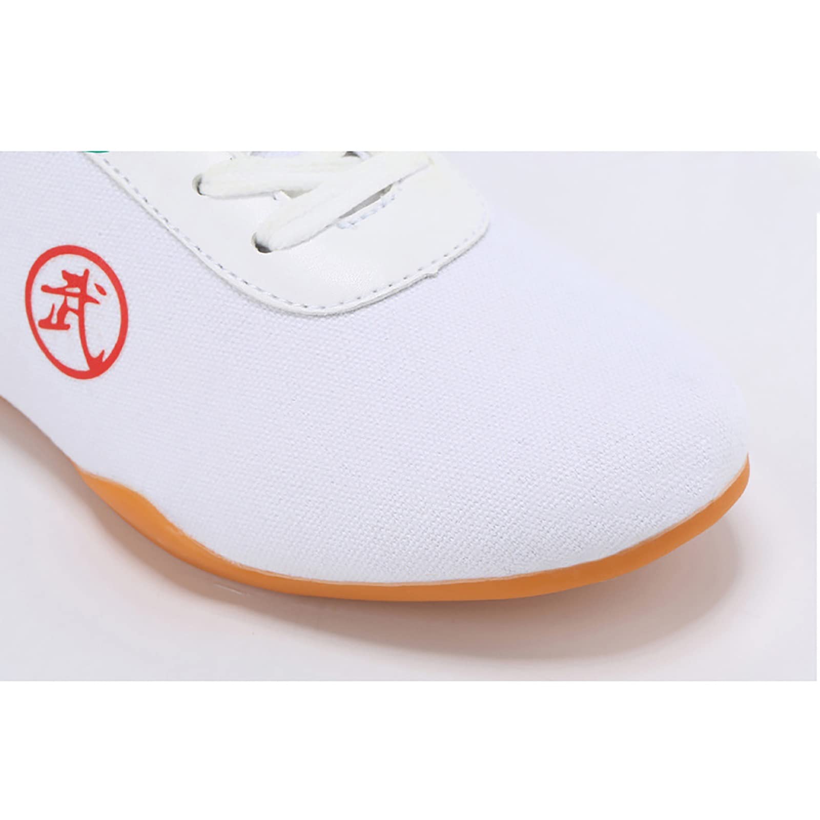 CLSQLXYJZC Scarpe da Taekwondo per Arti Marziali, Scarpe Leggere da Boxe Kung Fu Taichi in Tela Antiscivolo, per Sneakers da Allenamento Tai-Chi Taekwondo Unisex (Color : Blue, Shoe Length : 21cm)