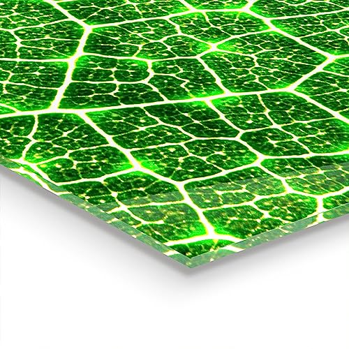 Panneau de cuisine décoration murale verre trempé 125x50 cm Botanica Greenery Force - 5