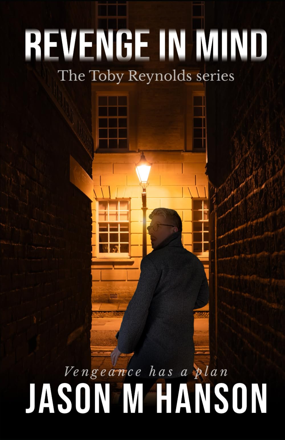 Revenge in Mind: The Toby Reynolds series: 2