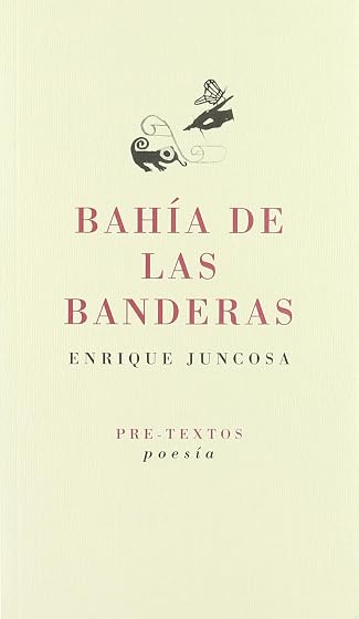 Bahia de las Banderas