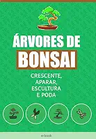 A Arte do Bonsai