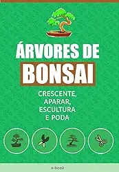 A Arte do Bonsai